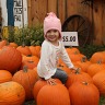Pumpkin Patch Richardsons in Dunnville